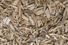 biomass boilers Rasharkin