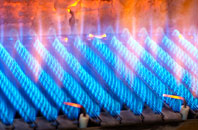 Rasharkin gas fired boilers